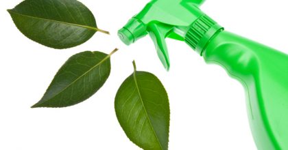 Green Spray Bottle with Leaf Spray for Environmentally Friendly Natural Cleaning Concepts.  Isolated on White with a Clipping Path.